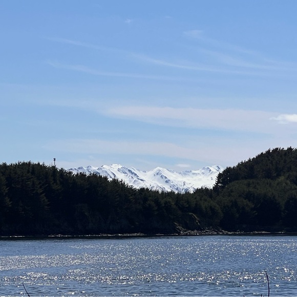 Meet your Posher, Vicki - Picture 2 of 15